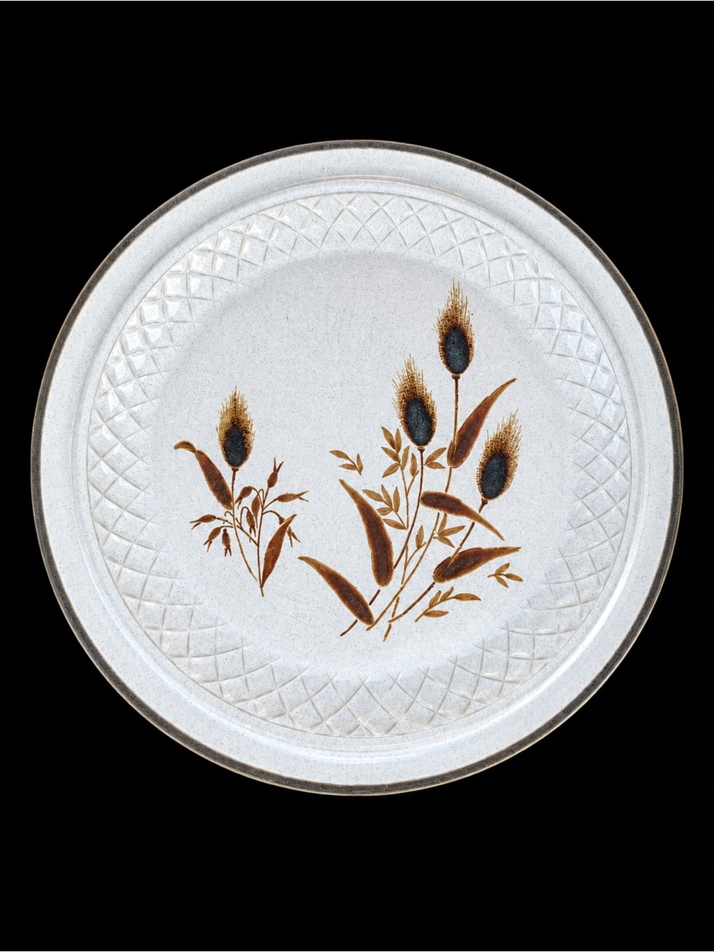 Dinner plate
